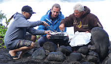 Extreme Fishing Challenge with Robson Green (S2 E4)