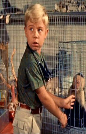 Stanley Livingston as 