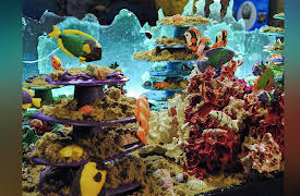 Little Chocolatiers: Chocolate of the Sea