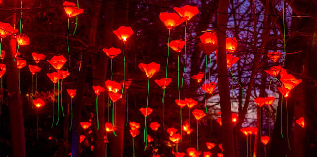 12:05 AM: Lighting Up Christmas | Channel 4 | 12/17 2025