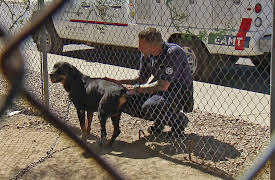 Animal Cops Season 20: Chain Break