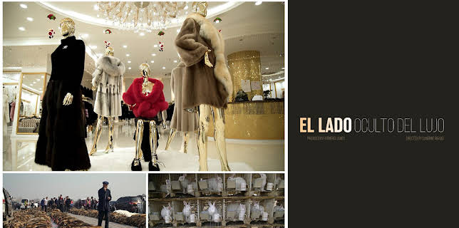 Luxury: Behind the Mirror (2018)