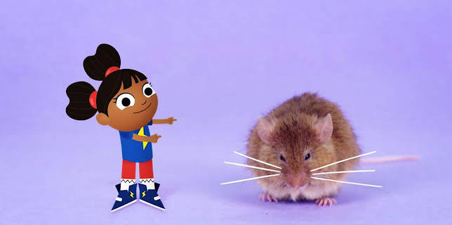 9:05 AM: Yakka Dee! (S1) | Cbeebies | 1/20 2026