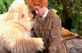 Here's Lucy: Lucy's Safari