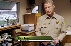 Wardens: Thrill Kill