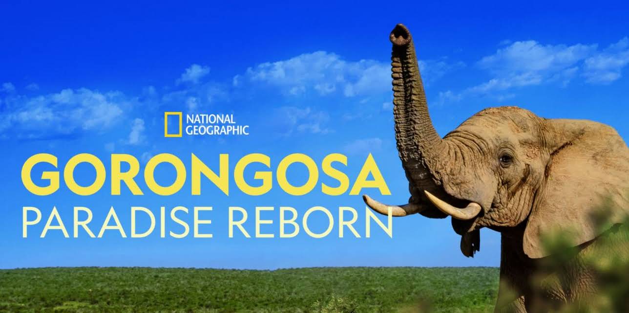 Gorongosa: Paradise Reborn