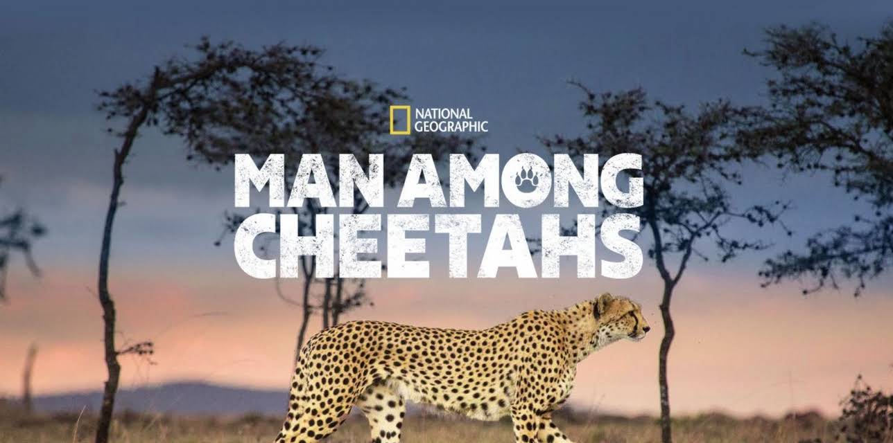 Man Among Cheetahs (2017)
