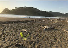 De viaje: de Garachiné a Juradó