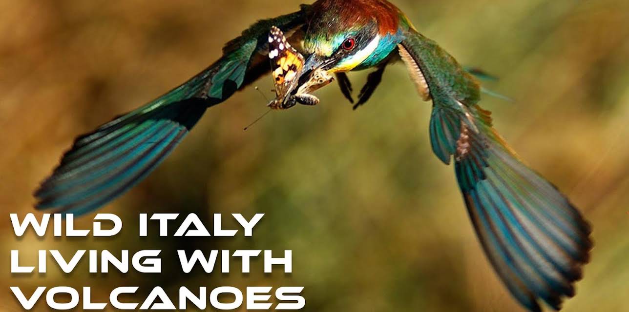 Wild Italy: Living with Volcanoes