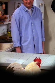 21:25: Friends (T6): Ep.20 El de Mac y C.H.E.E.S.E. | Comedy Central | 8/11 2026