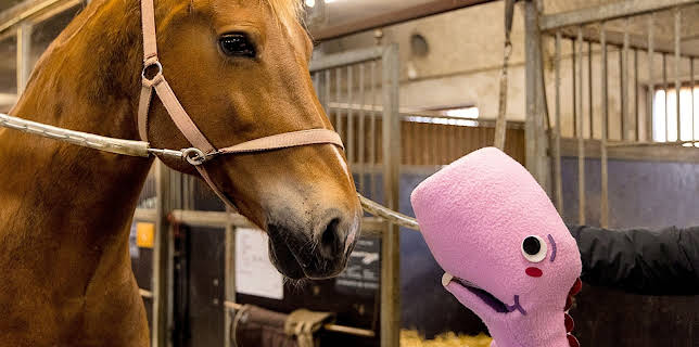 11:35: Trumle på tur: Rideskolen | NRK Super | 12/12 2025