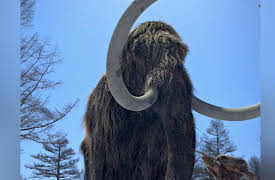 Leaps In Evolution: And Finally, Intelligence!