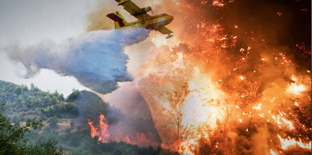 03:45: Tatort Taiga - Russlands grüne Lunge in Not | ZDFinfo | 3/6 2026