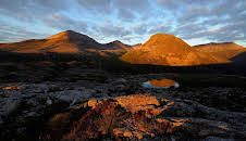 Schottlands neue Wildnis