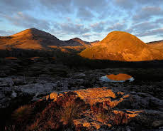 Schottlands neue Wildnis