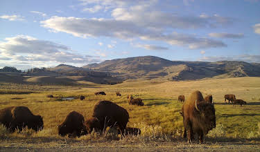 05:30: Amerikas Naturwunder: Yellowstone | 3SAT | 7/5 2026