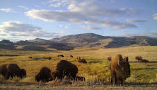 Amerikas Naturwunder (2/8)