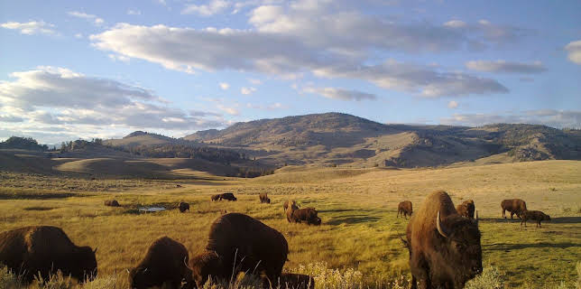 12:20: Amerikas Naturwunder (2/8) | 3SAT | 12/17 2025