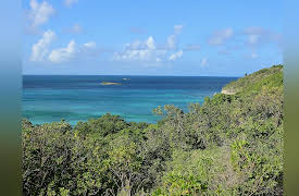 Escape to Paradise: Rum