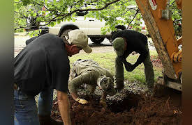 Rebel Gold Season 1: In Gold We Trust