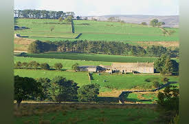 It's A Vet's Life: Episode 10