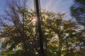 Buried in the Backyard, Season 1: Death in the Desert