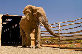 Work on the Wild Side, Season 1: New Homes