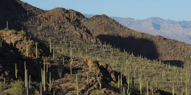 16:05: Amerikas Naturwunder (7/8) | 3SAT | 12/19 2025