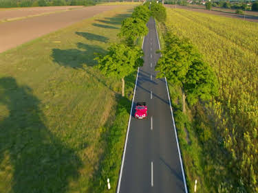 12:30: ... die Sie kennen sollten | SWR Fernsehen RP | 5/16 2026