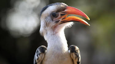 18:35: Kenia - Eine Oase im Sand (2/2) | Arte | 4/6 2026