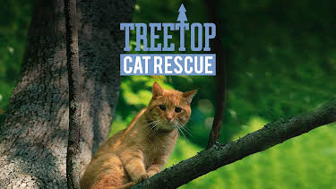 04:15: Treetop Cat Rescue (S1 E5) (S1) | Animal Planet | 3/31 2026