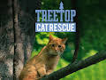 Treetop Cat Rescue