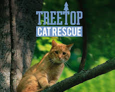 Treetop Cat Rescue