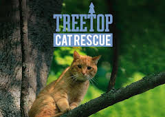 Treetop Cat Rescue