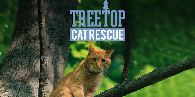 05:15: Treetop Cat Rescue (S1 E5) (S1) | Animal Planet | 11/25 2025