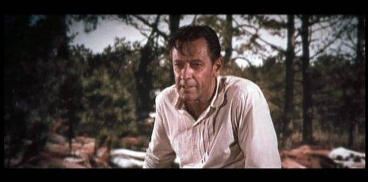 Alvarez Kelly (1966)