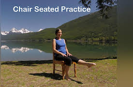 Balance & Strength Exercises for Seniors: 9 Practices with Jane Adams: Chair Seated Practice
