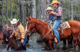 The Cowboy Way: Misty Makes a Match