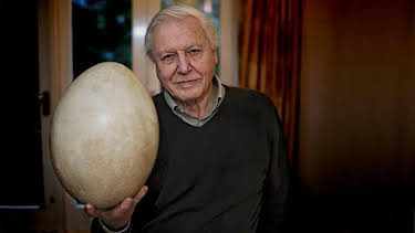 2:40 PM: Attenborough and the Giant Egg | BBC One Scotland | 4/4 2026