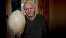 Attenborough and the Giant Egg