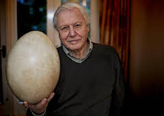 Attenborough and the Giant Egg