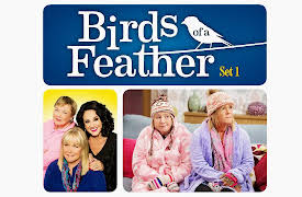 Birds of a Feather - Set 1: Slave