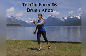 Balance & Strength Exercises for Seniors: 9 Practices with Jane Adams: Tai Chi Form #6 Brush Knee