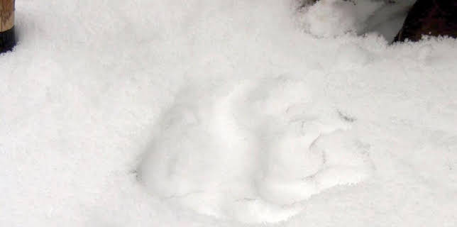 09:25: Welt der Tiere | BR Fernsehen | 2/21 2026