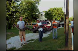 Lost Tapes Season 1: Megaconda