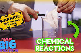Really Big Science Show: Chemical Reactions