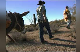 Postcards from Buster: Season One: Buster's Road Rules (Tucson, Arizona)