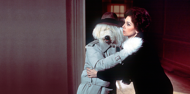 The Shaggy D.A. (1976)