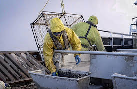 Deadliest Catch, Season 20: My Brother's Keeper