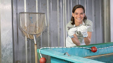 21:00: Land & lecker | WDR Fernsehen | 7/27 2026